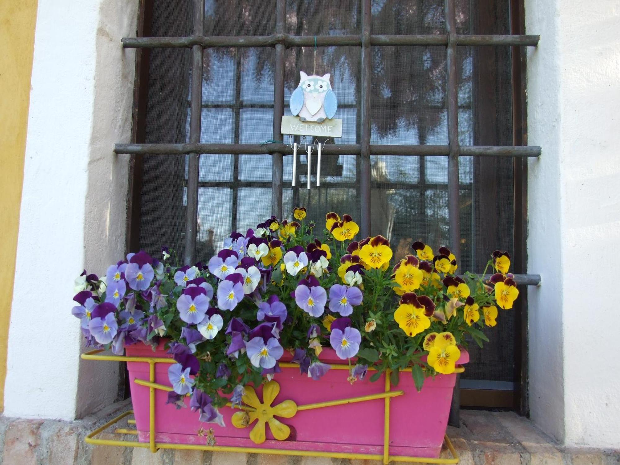 B&B Casacasina Monzambano Εξωτερικό φωτογραφία